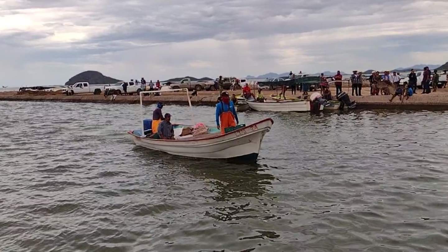 Apoya Sagarhpa al cooperativismo entre pescadores con más de 5 millones de pesos